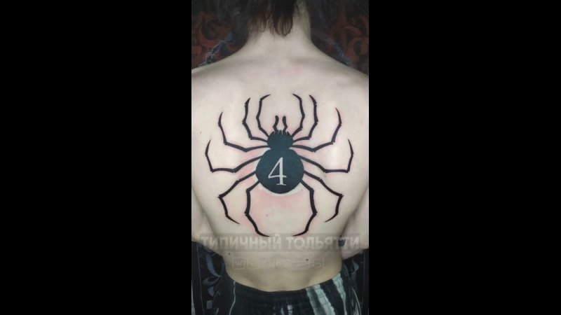 Реданы паук 4 фото Реданы паук 4 фото