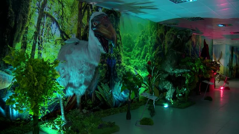 Мир динозавров красная ул 29 фото Мир динозавров красная ул 29 фото