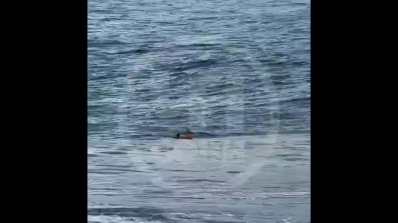 Девушку унесло в море сочи фото Девушку унесло в море сочи фото