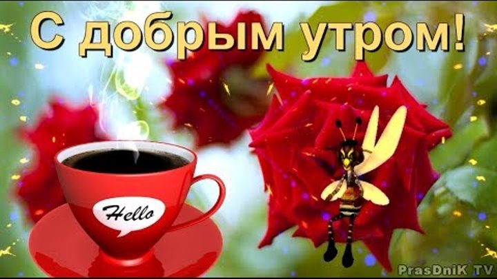 Pozhelanie S Dobrym Utrom Dobro Utro Horoshego Dnya Otlichnogo Nastroeniya