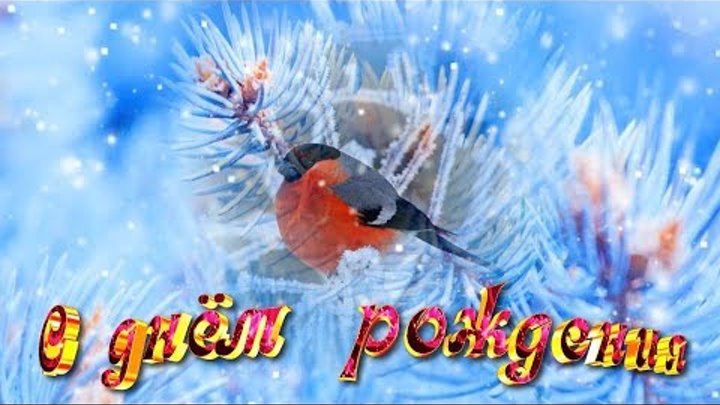 S Dnem Rozhdeniya Pozdravlenie Dlya Rozhdennyh Zimoj Krasivaya Video Otkrytka Youtube