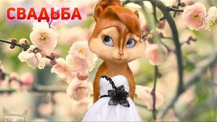 Элвин И Бурундуки Поют Песню - Это Лучшая Свадьба ( СлаВВо )