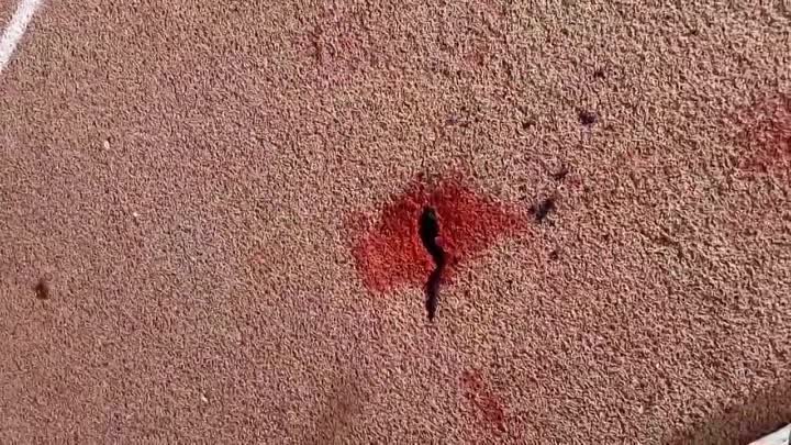 ukrali stadion v habaroske