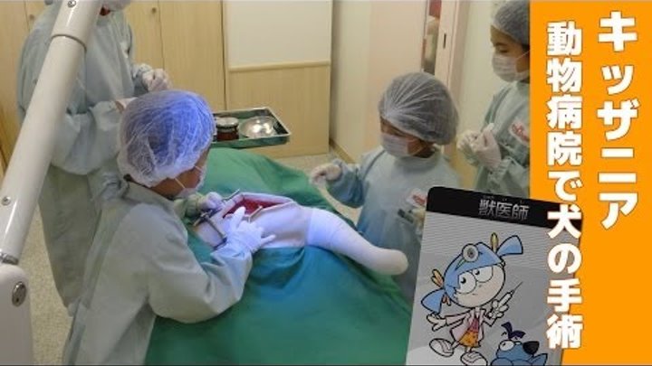 キッザニア 動物病院で手術のお仕事 Kidzania Tokyo Veterinary Clinic