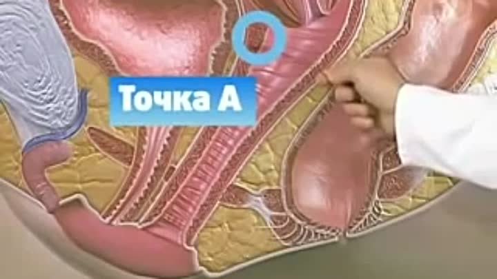Блог им. admin: Оргазм точки А - чем отличается от точки G