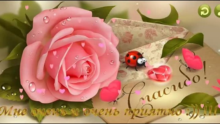 Https Encrypted Tbn0 Gstatic Com Images Q Tbn 3aand9gcs5ljqgisufmbr6xwexigttp1fbxjzhs7vd5a Usqp Cau