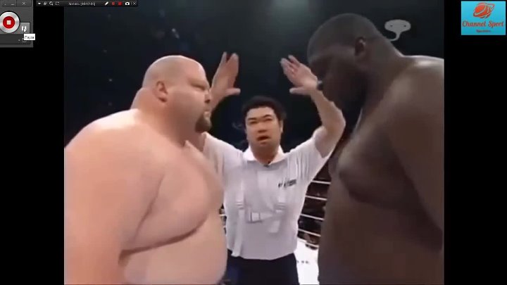 Боксер Зулузиньо