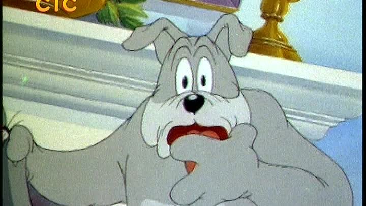 Spike Tom and Jerry