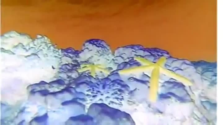 Baby Van Gogh in G Major (Part 2)