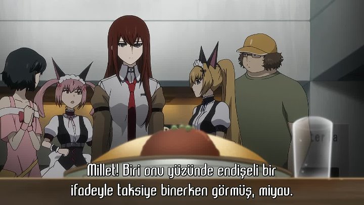 Animez Tv Steins Gate 25 Ova