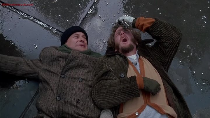 11+ Home Alone 2 Lost In New York 1992 Ok Ru Images