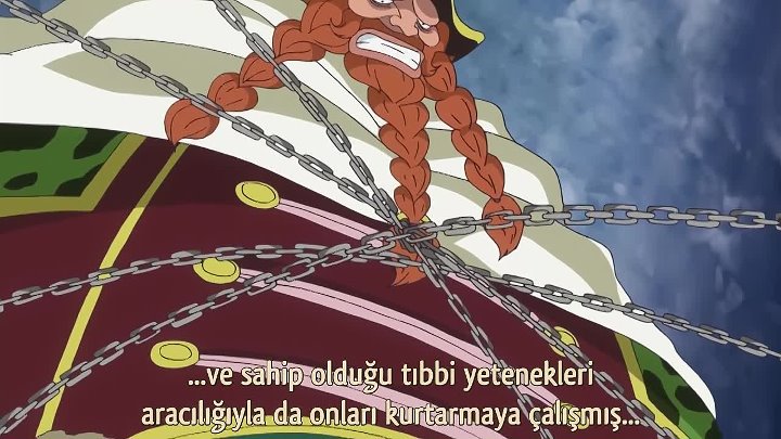 One Piece 591 Bolum