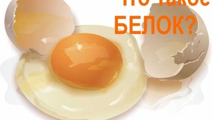 Всё о белках - Что такое белок, зачем нужен белок и когда нужен белок