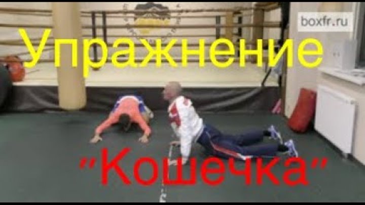 Фролов биомеханика ударов в боксе