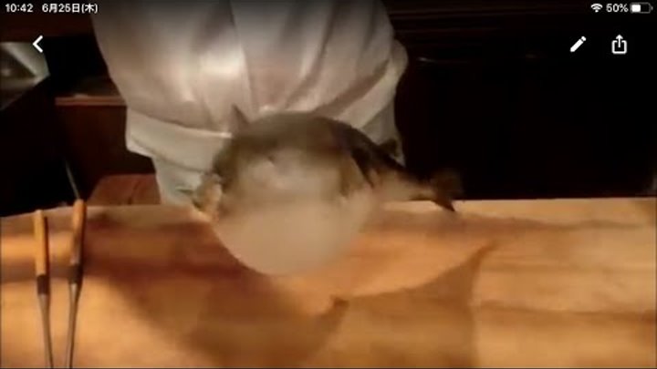 ふぐ提灯 の作り方 大和の 和のお土産