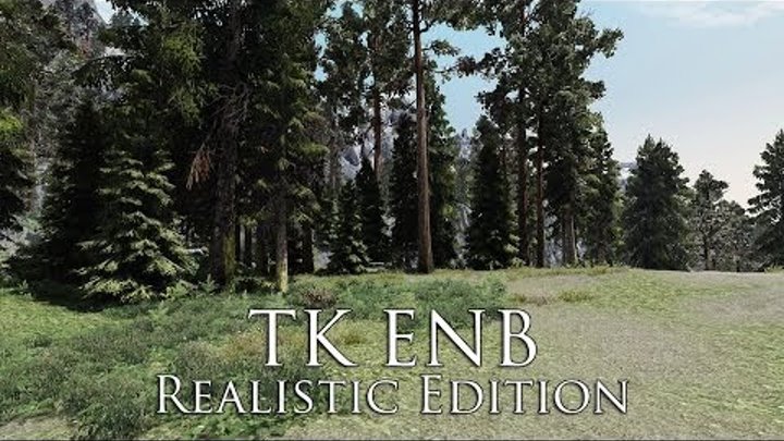 Tes V Skyrim Mods Tk Enb Realistic Edition