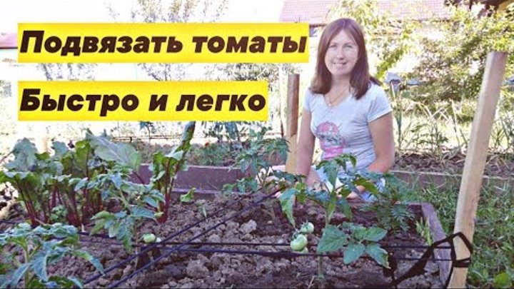 Как быстро и легко подвязать помидоры