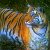 тигр тигранов