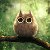 funny owl 🌙