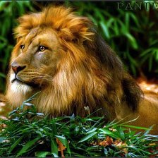 Скачать музыку лери гоу скачать музыку лери гоу