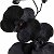Орхидея Черная
