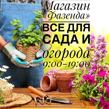 Режим Работы Магазина Фазенда