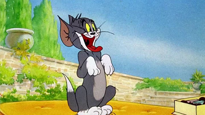 Tom and Jerry Cartoon - Entertainment | Dramatubes.com