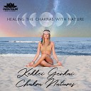 Chakra Healing Music Academy - Meditation Waves
