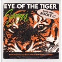 Survivor - Eye Of The Tiger Dj Tarantino Remix
