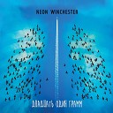 Neon Winchester - Перелетные птицы