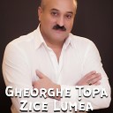01 Gheorghe Topa - Zice lumea