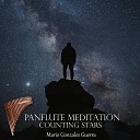 Mario Gonzales Guerra - Meditation at Night