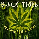 Black Tribe - Было мало воды
