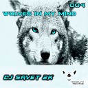 Dj Savet 2K - Wolves in My Mind Radio Edition