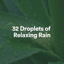 Rain Sounds Nature Sounds - Rain for Transcendental Meditation Pt 12