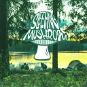 Sleeping Mushroom - River Pt 30