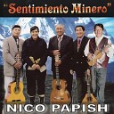 Nico Papish - Lorito de la Monta a