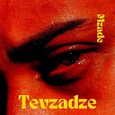 Mzade - Tevzadze
