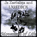 LXREDBOX Ja Zae6alsja - Movement of Life Slowed Reverb Remix
