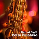 Petra Pulchera - Stars at Night RainerUnique Remix