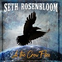 Seth Rosenbloom - Give Me The Ring Back