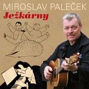 Miroslav Pale ek - Nebe Na Zemi