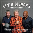 Elvin Bishop s Big Fun Trio - Lookin Good