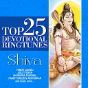 Ravindra Sathe - Shiva Tandav Stotra