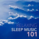 Sleeping Music Masters - Baby Sleep Through the Night