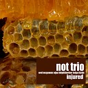 NOT TRIO feat Tolga T z n Ned McGowan O uz B y… - Duo 06