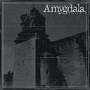 Amygdala - I Wish Upon a Shooting Star
