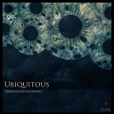 Ubiquitous - The Unknown Shaman Original Mix