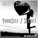 Viofly David Garry - YourSelf Delighters M LL3R Remix