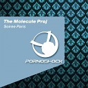 The Molecule Proj - It s No Vice Original Mix